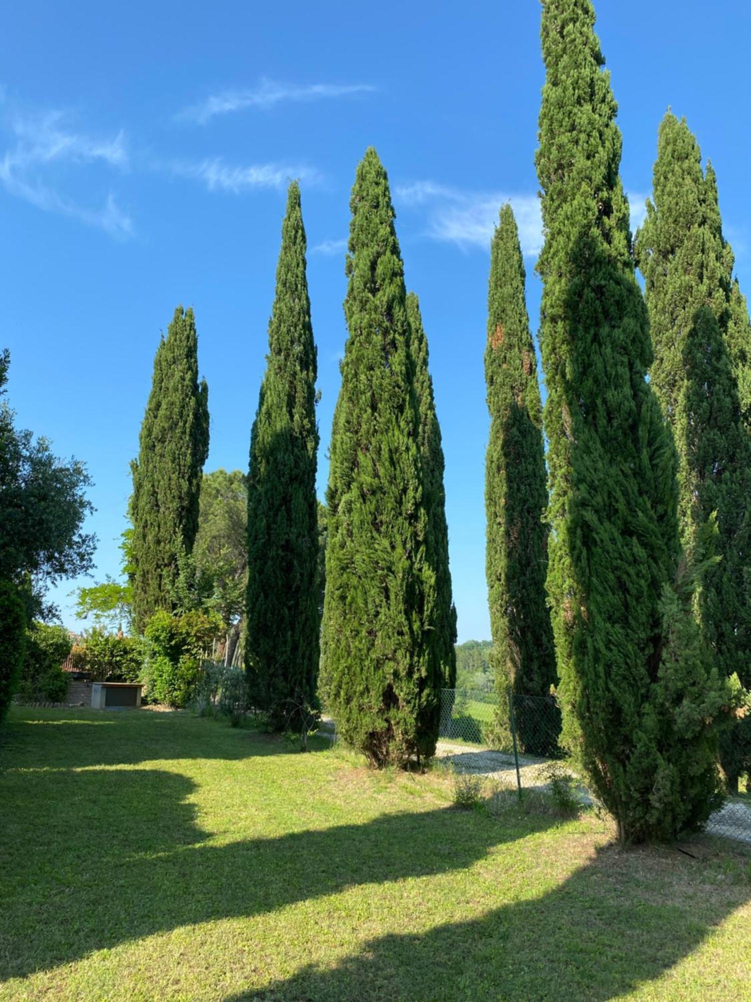 Villa Tre Colli - In The Heart Of Tuscany Certaldo Εξωτερικό φωτογραφία