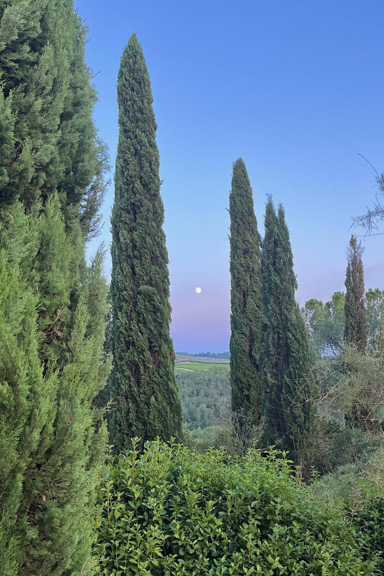 Villa Tre Colli - In The Heart Of Tuscany Certaldo Εξωτερικό φωτογραφία